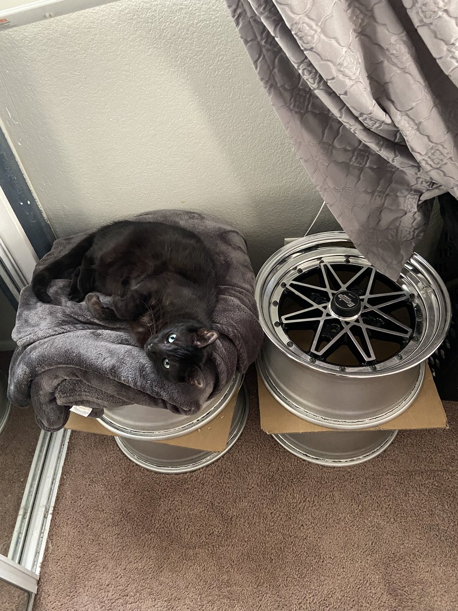 Anthaknee's tweet photo. He got his own set of Work wheels https://t.co/ozbJlQP0ge