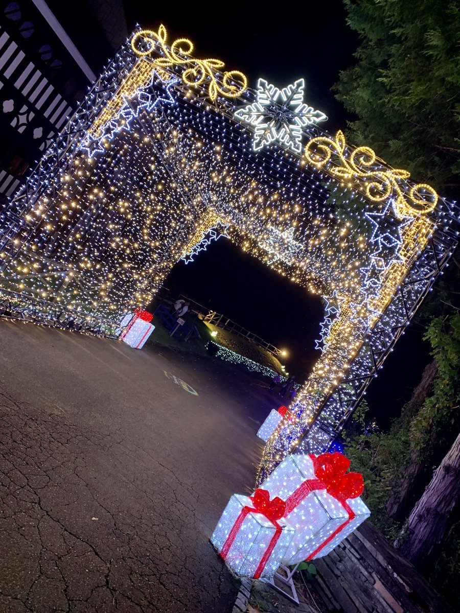 izushikankou's tweet photo. いよいよ今夜（10/20（金）17：00）から、『���修善寺虹の郷サンクスイルミ2023』がスタート！🌈
生で見るともっと綺麗です🤭

＃伊豆市 ＃修善寺 ＃虹の郷 ＃イルミネーション https://t.co/LRKYdqGGe5