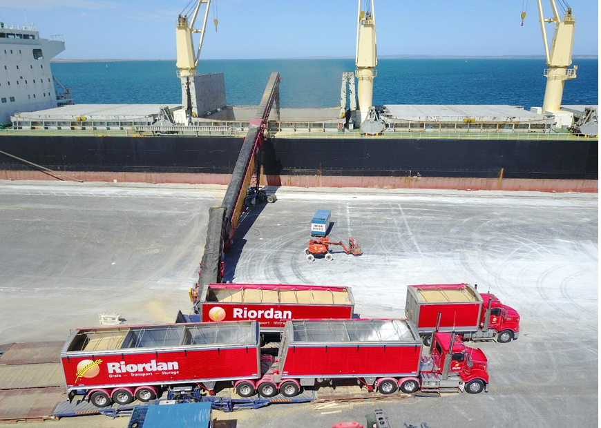 Flexi_Grain's tweet photo. Thanks to #agconnex, @RiordanGrains and all our transport partners, Genco Laddey has 22,000mt of #durum on board already. https://t.co/OyC9e9vtqE