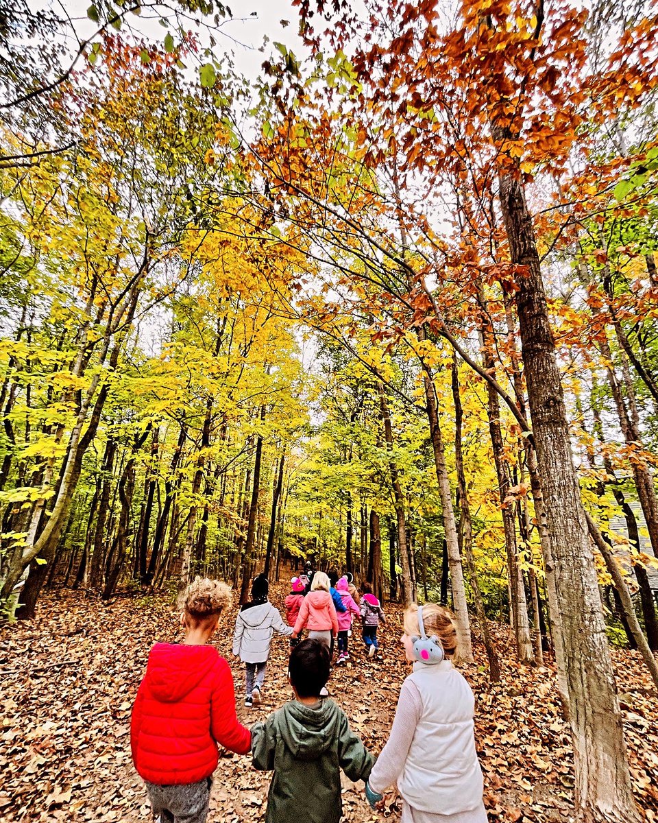We are lucky to have these beautiful woods nearby for us to explore. A class walk in the forest was perfect for Take Me Outside Day. 🍂 🍁 🍃