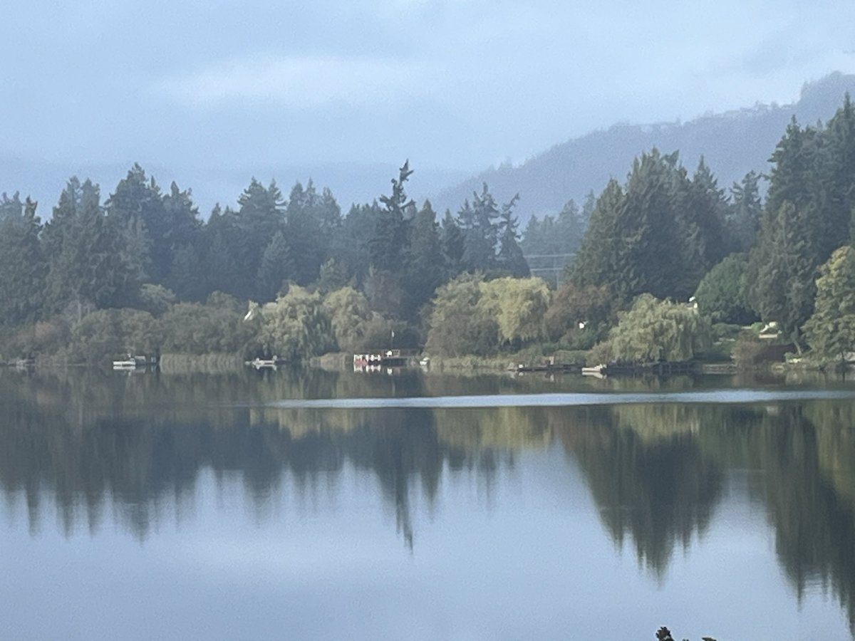 John McFarland tweet media