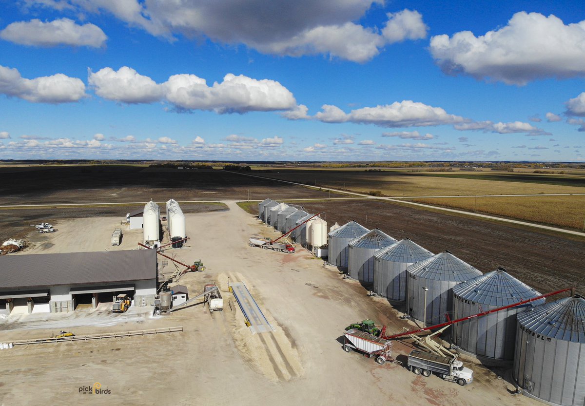 #sunflowerharvest is complete and we finally beat the snow!
