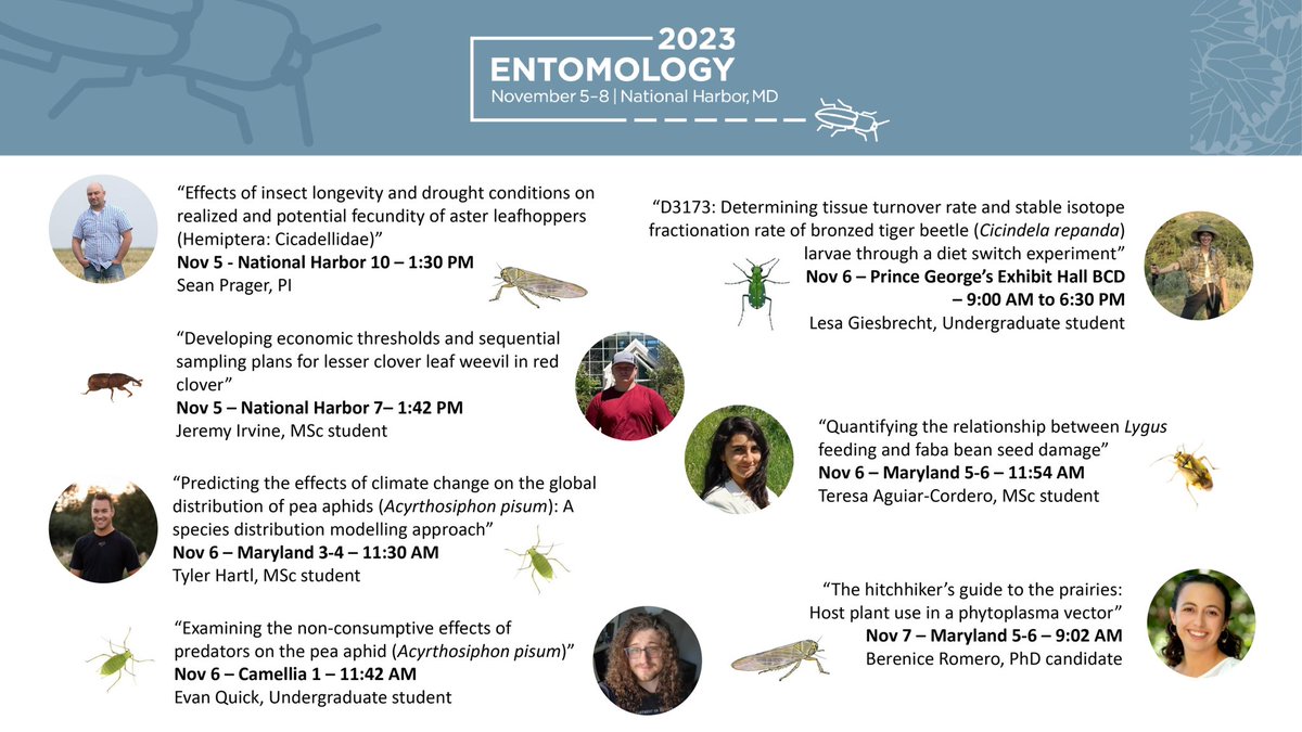 #EntSoc23 is right around the corner and many of us from the <a href="/USaskEnt/">Prager Lab</a> lab will be giving awesome talks about the insects we work with 🪲

Stop by to hear about aphids, Lygus bugs, tiger beetles, and leafhoppers! 
🦋