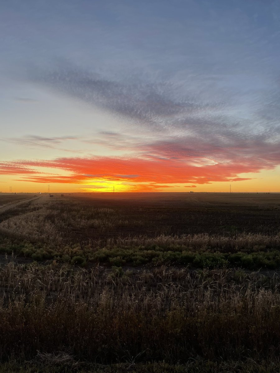 mitchblixrud's tweet photo. #sunset #sask https://t.co/5eHrP5iRkX