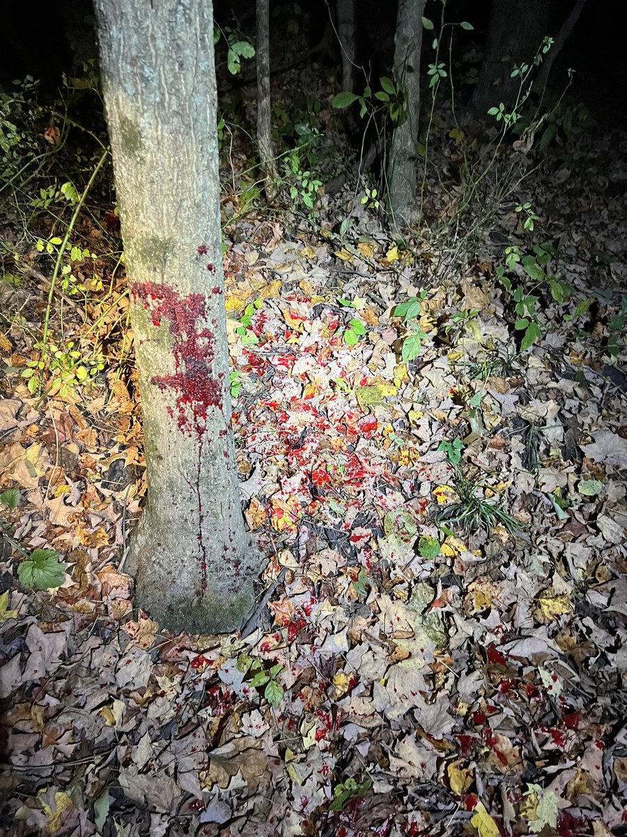 rickyt26's tweet photo. @TNHoneyThorn @BucksofOhio Actually it was shot at 6:45 PM. The hole you see was the warrant was it was slightly quartered away. It lived 15 seconds after the shot. Thanks anyway though. Move along. https://t.co/SSiBsUtTgq