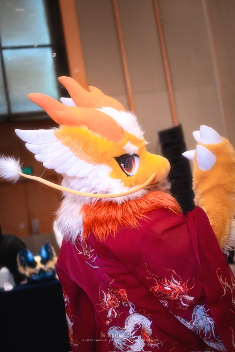 在下先行告退了，回見～

📷:<a href="/ylngxngln1/">Dragon星麟</a>
🪡:<a href="/qian_xuan777/">Lamya QX-3571</a> <a href="/_RYOKOwO/">sakura-ryoko</a>
#FursuitFriday #羽落晨曦