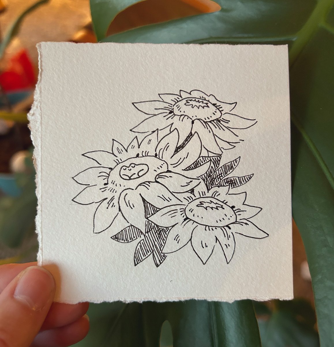 littletoadart's tweet photo. #froggyfall day 19. Froggy rests on a sunflower 🌻
#froggyfall23 https://t.co/7cTqECb6ZK
