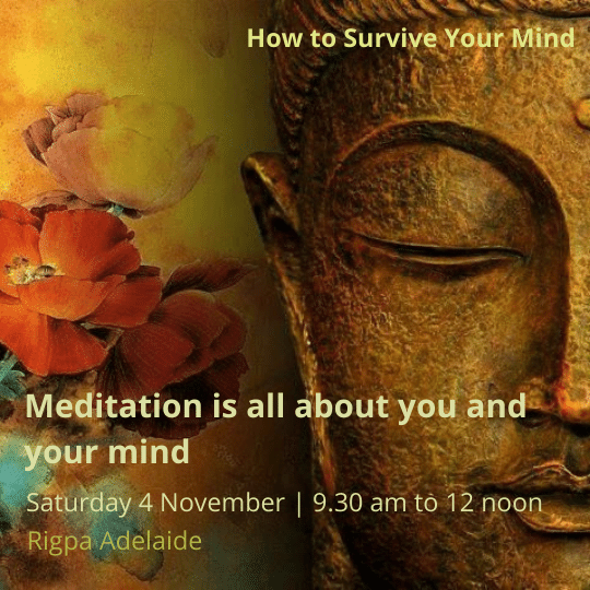 Mindfulness, awareness and compassion practices for yourself in everyday life.
A monthly program on the first Saturday of the month that introduces you to meditation.

#meditation 
#MentalHealth #selflove #inspiration #inspo #peace
#whatsonadelaide #adelaide #meditateinadelaide