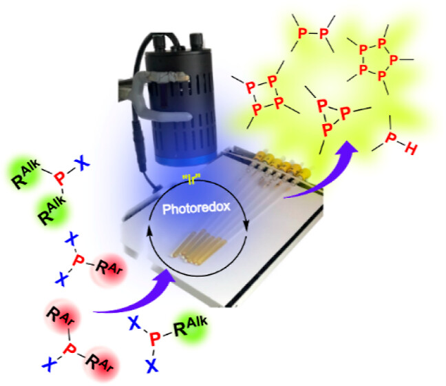 Light-driven activation of phosphorus-halogen bonds gives rise to diphosphines, secondary phosphines, and 3-, 4- and 5-membered cyclophosphines. Check out the new work from @OttLaboratory, @smc_uppsala, @chem_angstrom pubs.acs.org/doi/10.1021/ac…