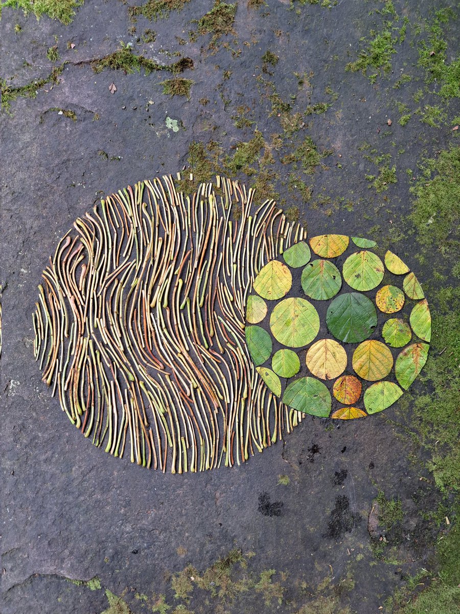 Orbs. Ash twigs and Hazel leaves. Yeathouse Station Platform,Cumberland. #hydref #leaves #autumn #temporary