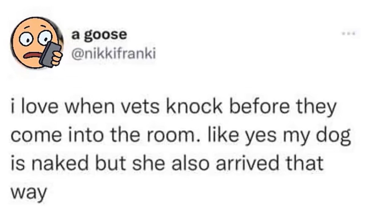 internet hall of fame (@interneth0f) on Twitter photo 