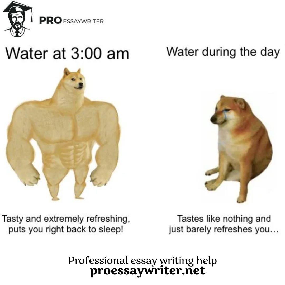 proessaywriter_'s tweet photo. 🤣🤣🤣 https://t.co/PgCtRTqph9