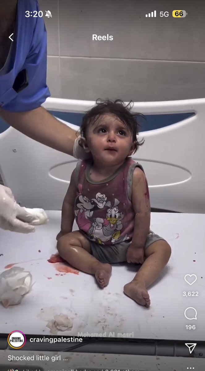 Free Palestine 🇵🇸 𓂆 tweet media