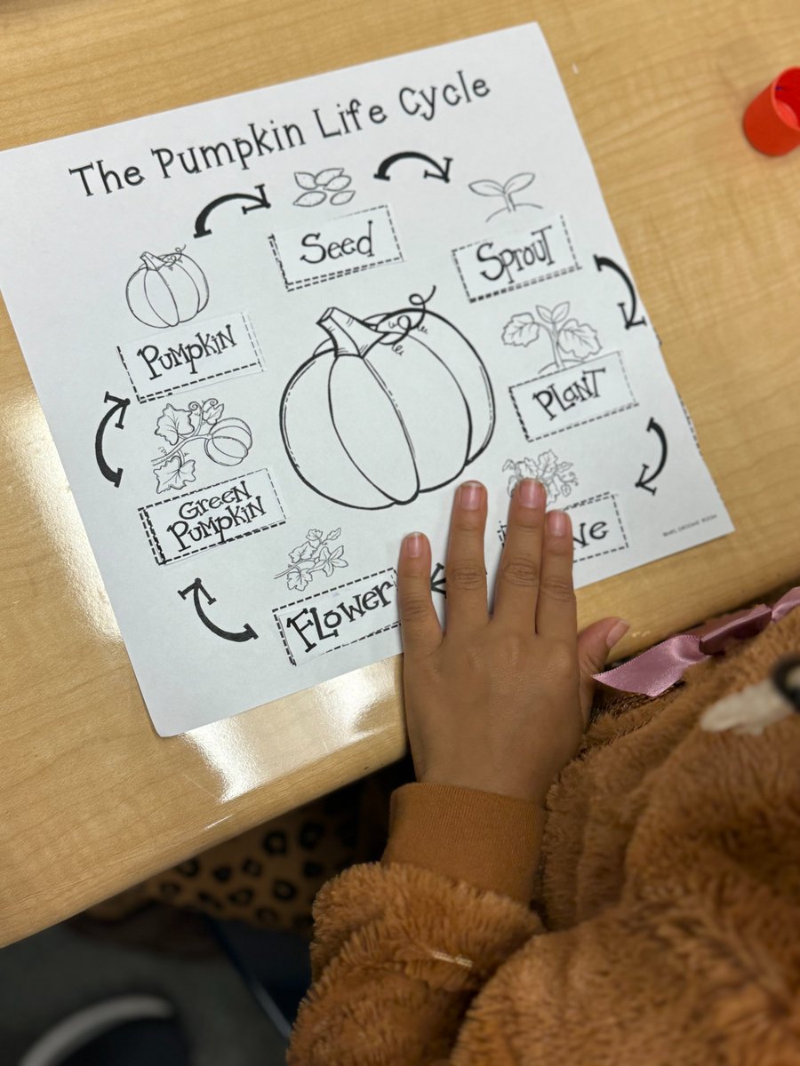 FUNTOBER at Fieler Elementary. This week in Ms. Deckinga's & Ms. Olson's Kindergarten classes learned about the different parts of a pumpkin & the pumpkin life cycle.  Everyone was so excited & focused while doing the pumpkin science experiment. A great time in the science lab!