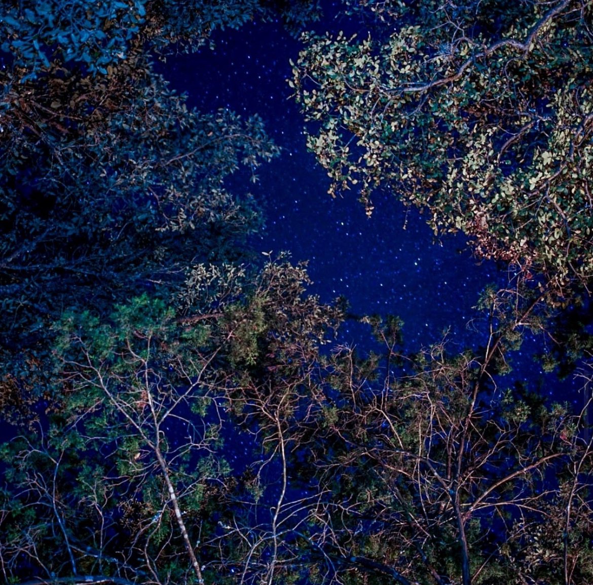 Texas Eclipse 2024 Fam ❂ tweet media