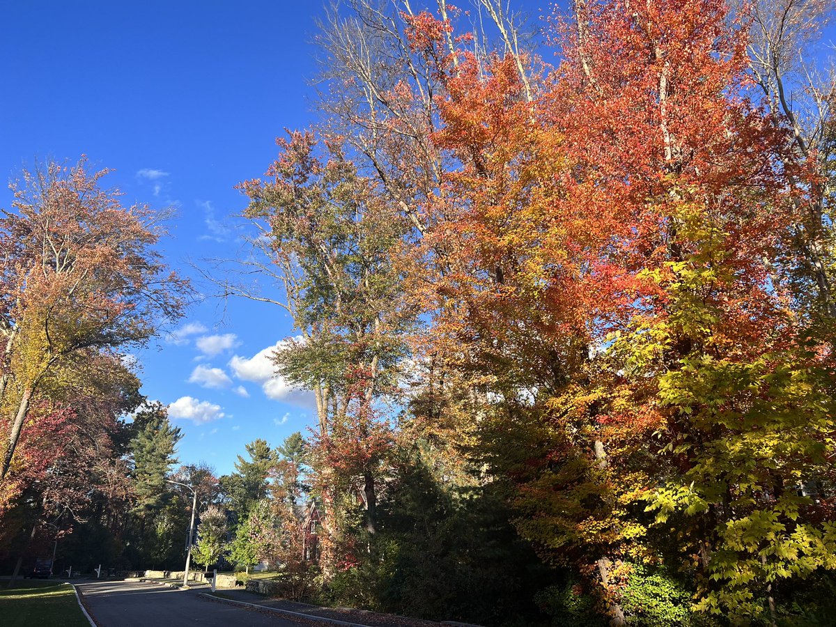 foundmycalling's tweet photo. Gorgeous Fall 🍁🍁 https://t.co/Yb7C4FI60x