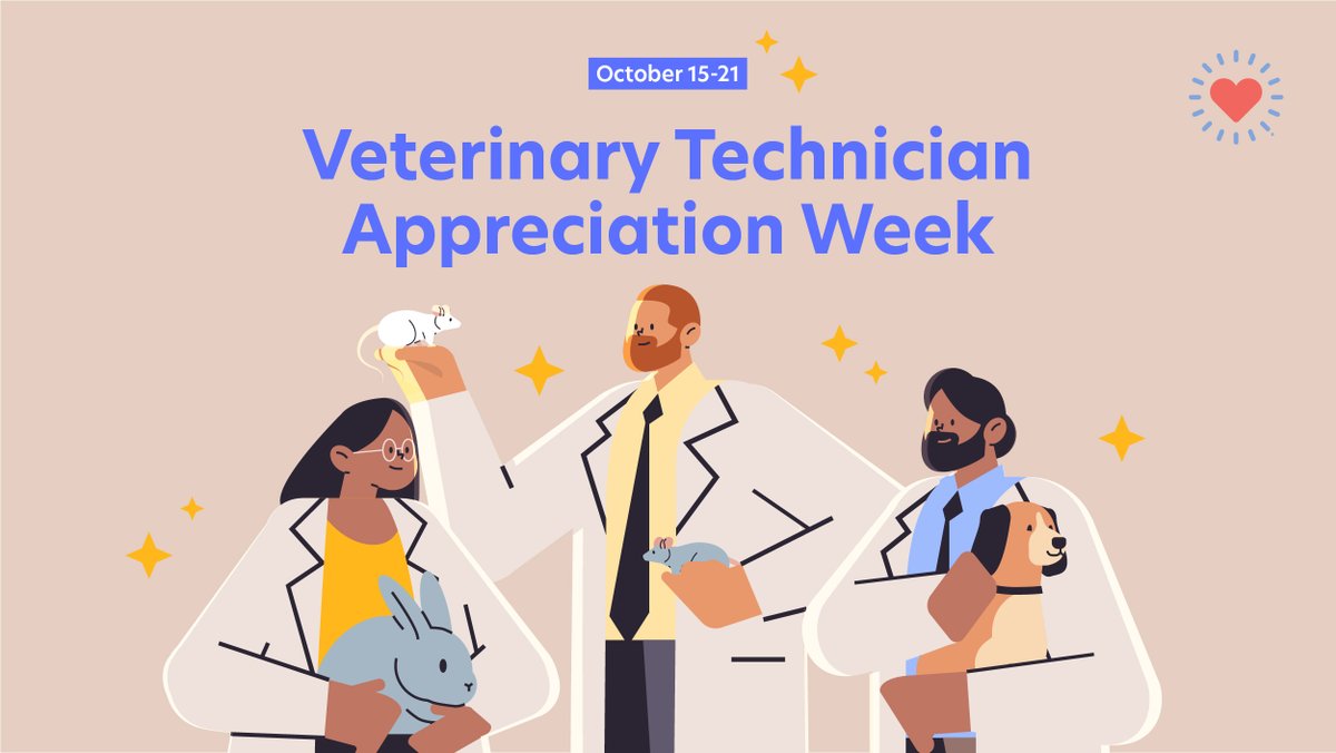 helloscratch's tweet photo. Celebrating incredible vet techs during Vet Tech Appreciation Week! Their passion, expertise, &amp; care make a world of difference in the lives of our furry friends. Thank you for your dedication &amp; commitment to animal well-being!

#scratch #scratchfinancial #vettechappreciationweek https://t.co/iYybQGFPae