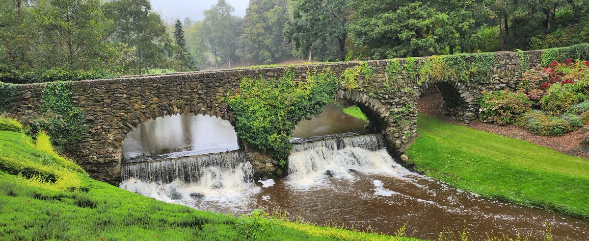 Ray Scott tweet media