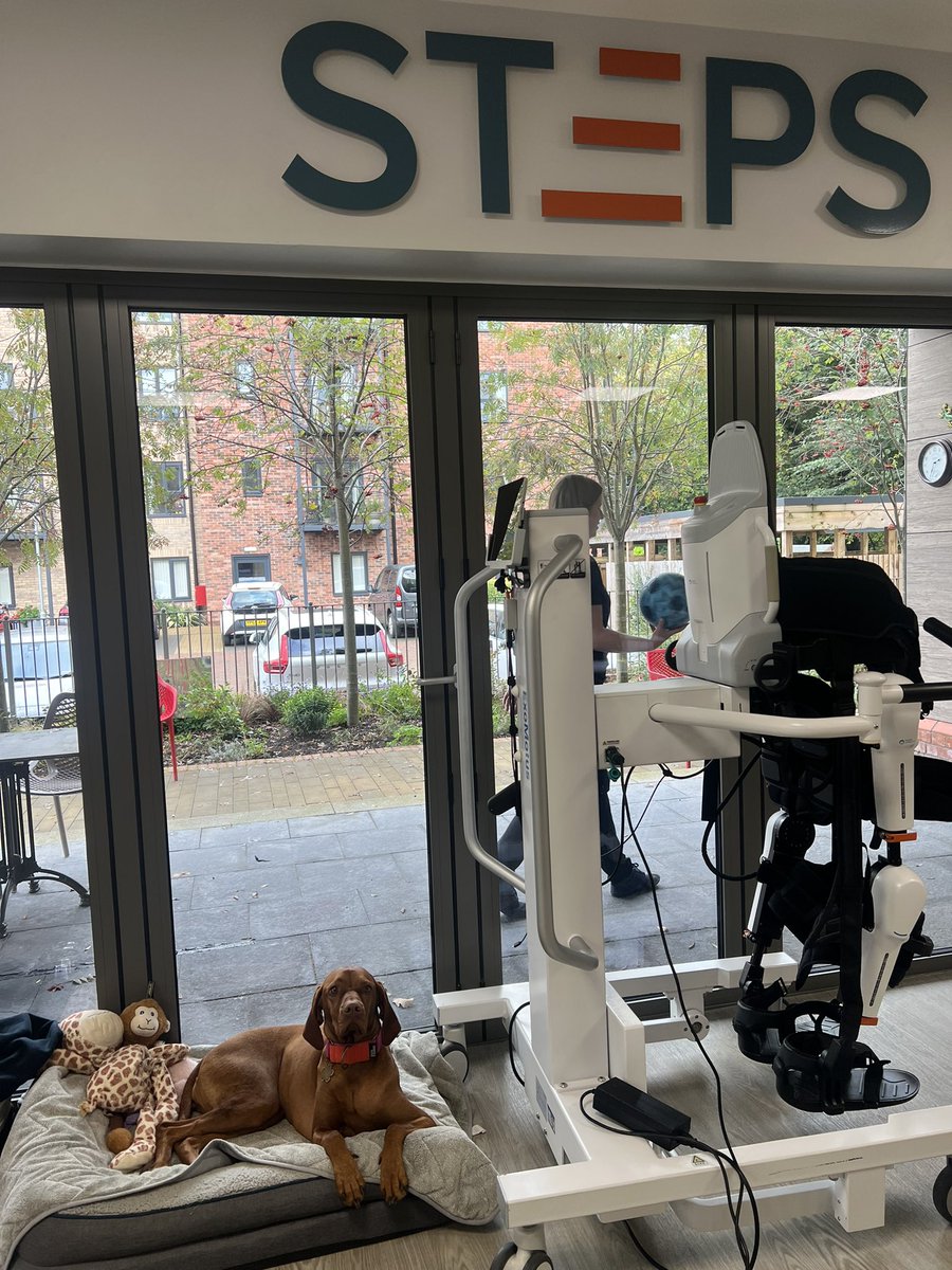 Another very happy client following his assessment and tour around STEPS today! Added bonus to see my little friend in the gym before leaving (who loved her tummy tickle)!@STEPSrehabUK