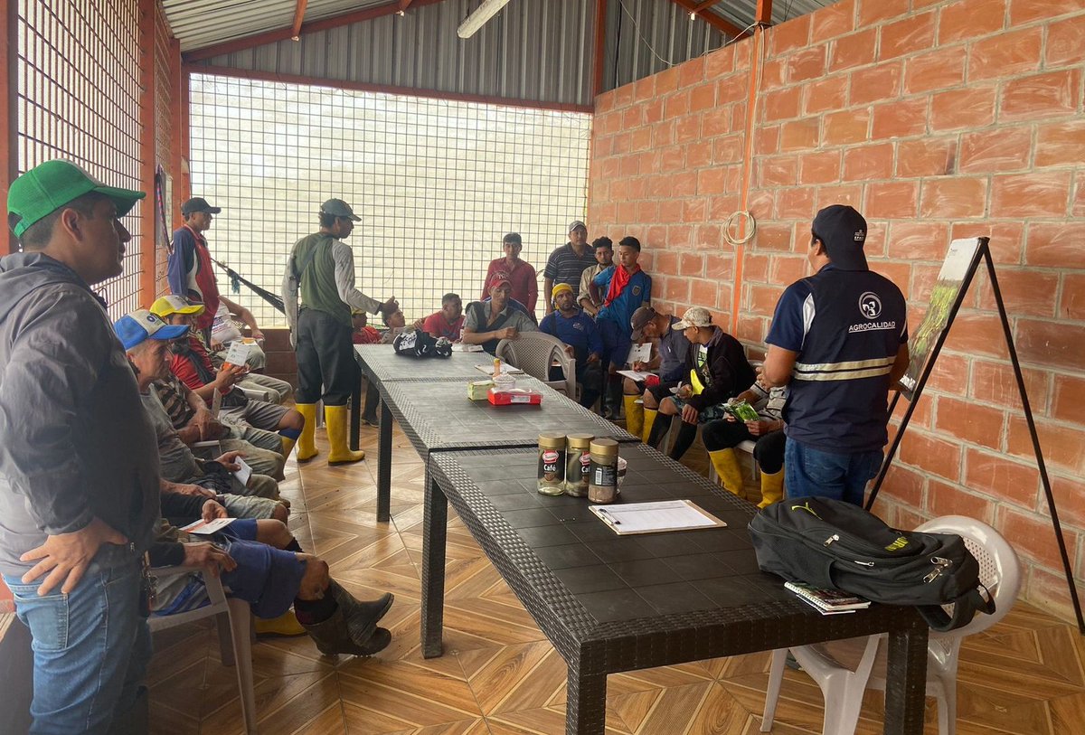 AgrocalidadZ5's tweet photo. #SantaElena | Capacitamos en medidas de bioseguridad bajo la resolución 110 y reconocimiento de síntomas externos de #FocR4T y Ralstonia Solanacearum R2 a trabajadores agrícolas, con el objetivo de prevenir el ingreso de estas enfermedades.
#EcuadorSinFocR4T🇪🇨 https://t.co/yvdkocQEJ0