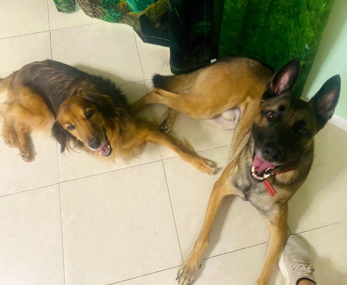 The cute squad. https://t.co/0wYNNjCQcO<a href="/tag/jordancon"class="tags"><span>#jordancon</span></a><a href="/tag/jordancon2024"class="tags"><span>#jordancon2024</span></a>