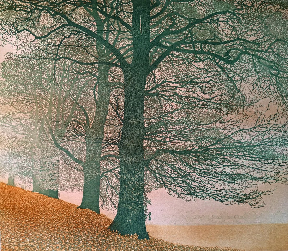Phil Greenwood (British) Etching and Aquatint 'Tree Light' 1985