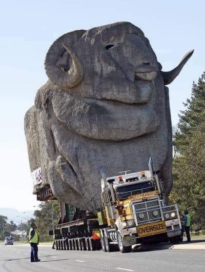 DanRepacholi's tweet image. We love big things in the Hunter and it was great to be in Goulburn this morning as I drove home from Parliament, to see this on the move to its new home in the hunter.
