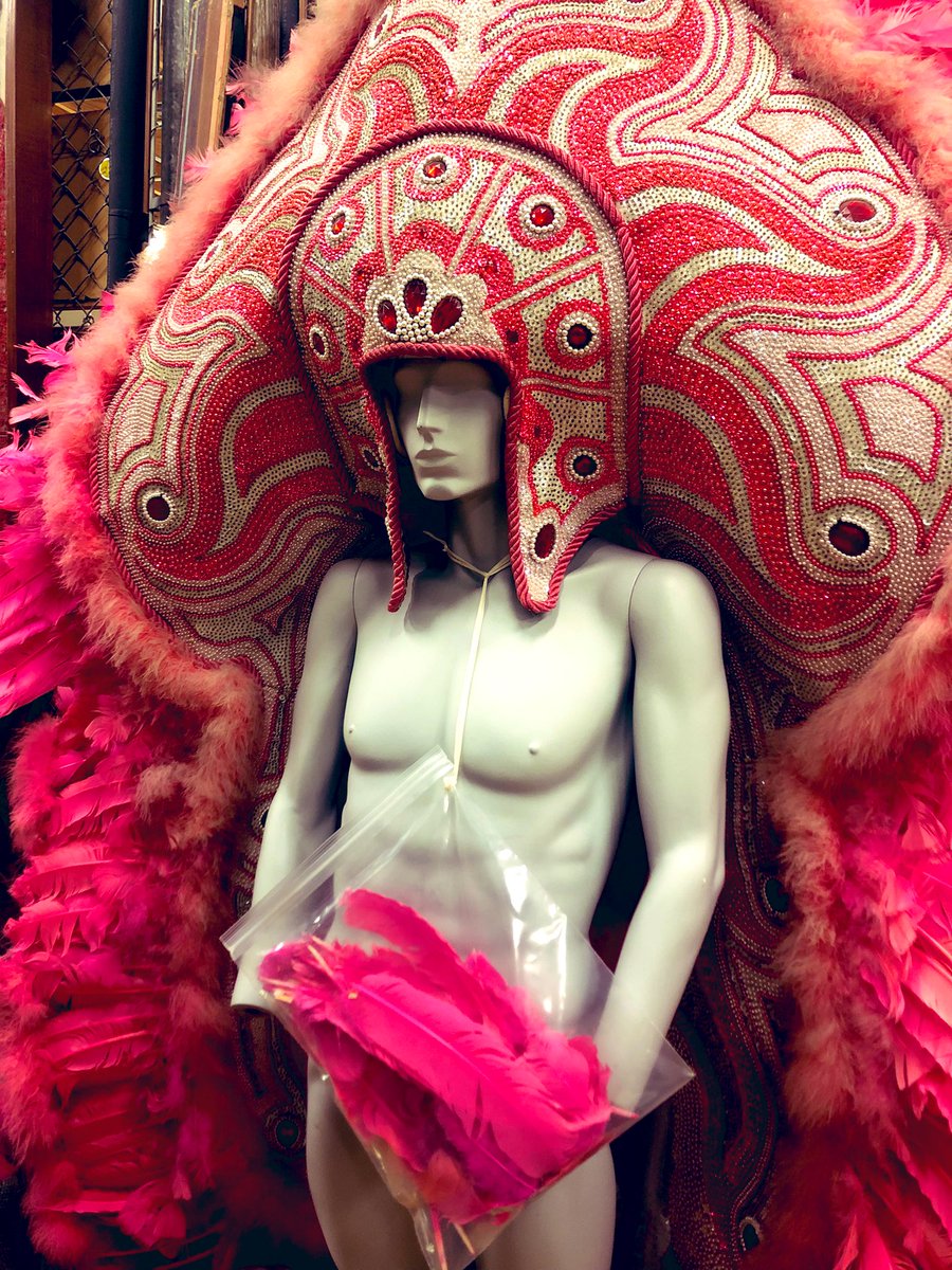 PreservationWk's tweet photo. Attendees of #CoreForum2023 toured @LHCNola’s Mardi Gras collection today to learn about #TextilePreservation. Forum is @ALA_Core’s conference for #LibraryWorkers in #BuildingsAndOperations, #LeadershipAndManagement, #MetadataAndCollections, #Preservation, and #Technology. https://t.co/IfapEOYfFH