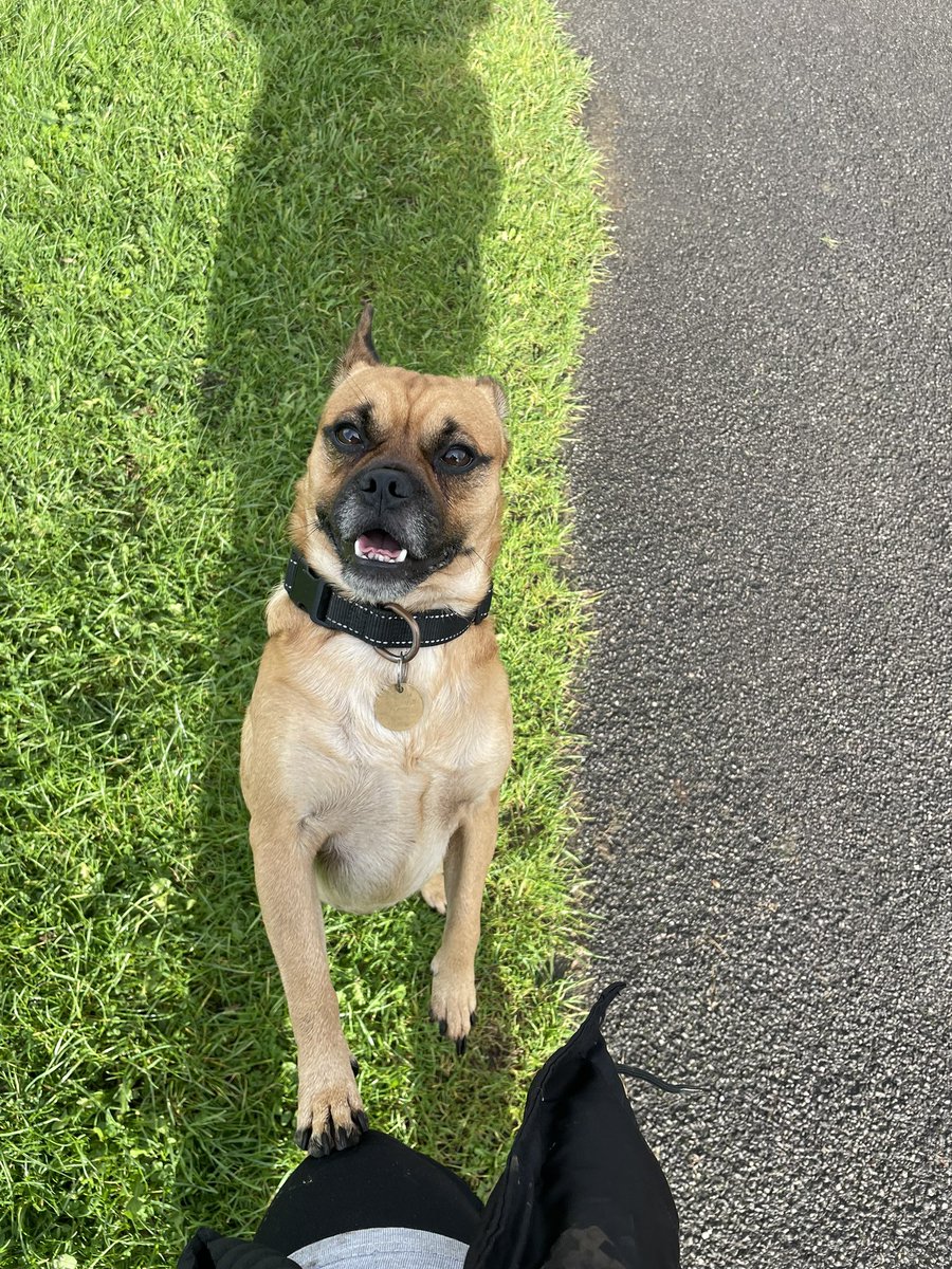 emma_wilko55's tweet photo. @hannah1989__ Hi from Baxter 😘 https://t.co/dMvOmDlwq4