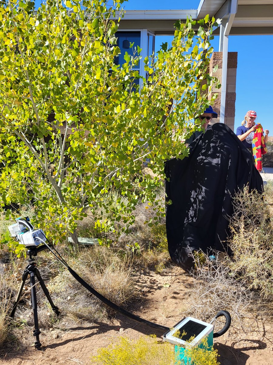 Things we do for taking dark adapted leaf fluorescence measurements. So much fun at #PhysFest4, Sevilleta National Wildlife Refuge. <a href="/LICOR_ENV/">LI-COR</a> <a href="/KaremMezaC/">Karem B. Meza</a> @bianca_butter
