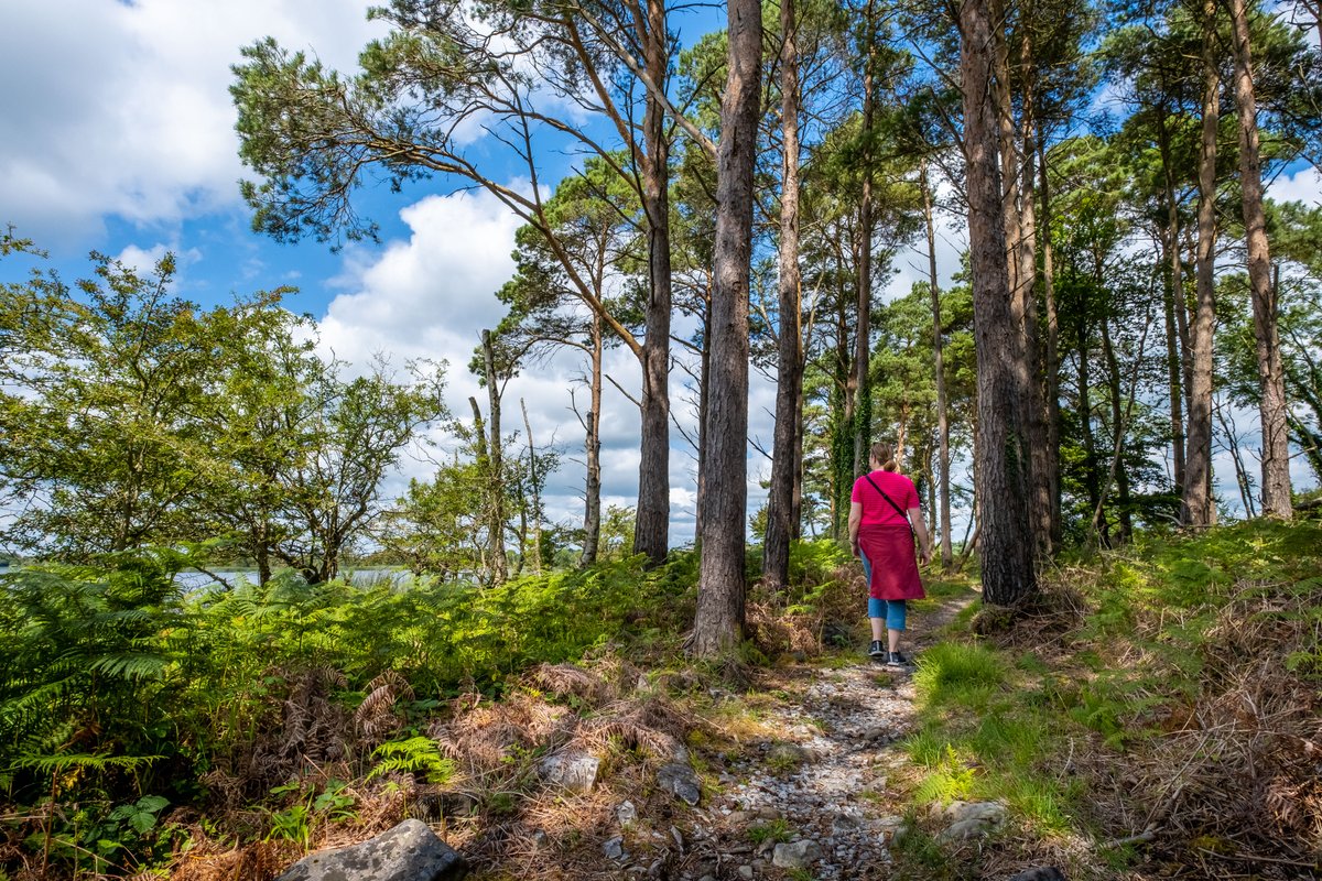 Sport Ireland Outdoors has included an additional date for the online delivery of the Introduction to Walking Trail Planning course.🚶 

The course is available to book here👉 
bit.ly/3SofdNp
More info👉 bit.ly/3S8NcsO

Image: Courtesy Destination Lough Derg