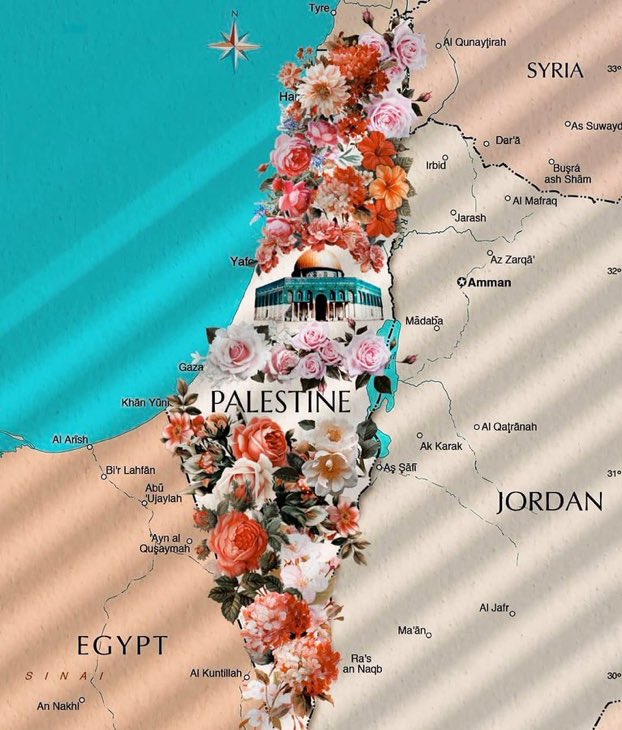 nm_jyz's tweet photo. ليس عليك أن تكون مسلمًا لدعم فلسطين ، عليك فقط أن تكون إنسانًا.🇵🇸 You don't have to be a Muslim to support Palestine, you just have to be a human https://t.co/JwW9m6NE7k