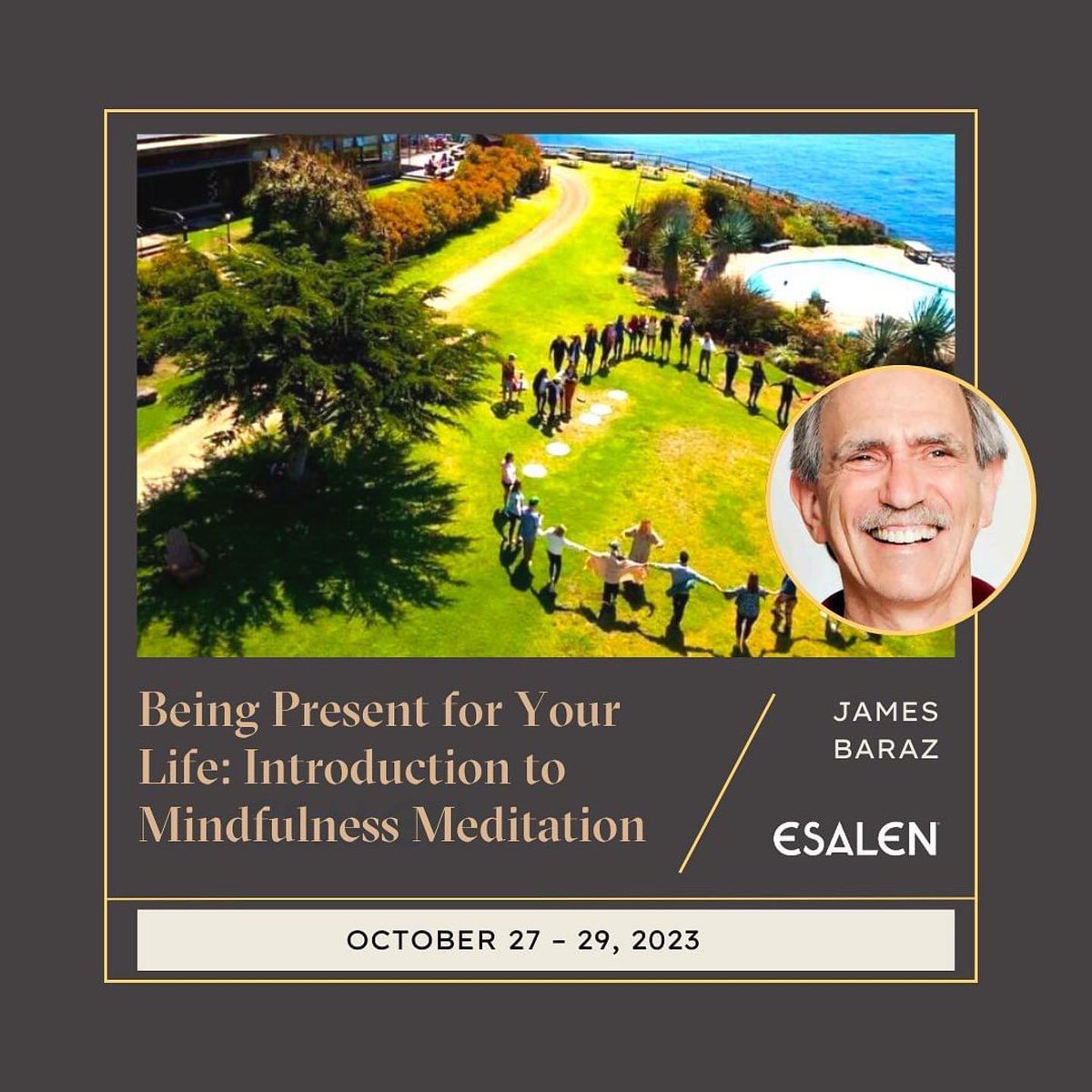 Awakening Joy tweet media