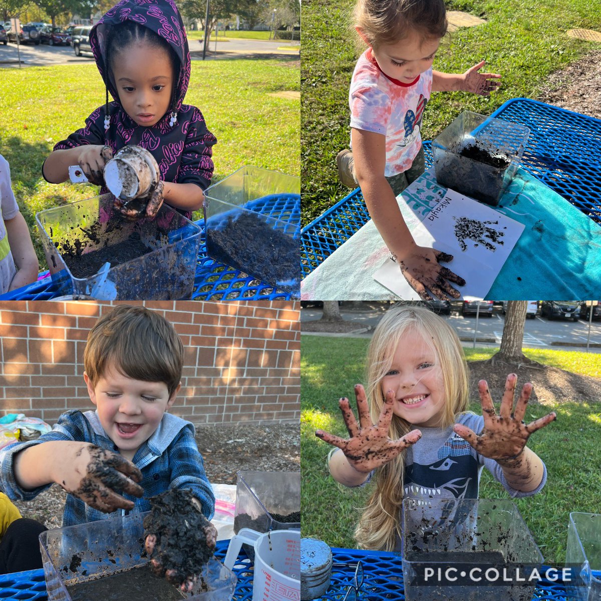 Mary Dodson tweet media