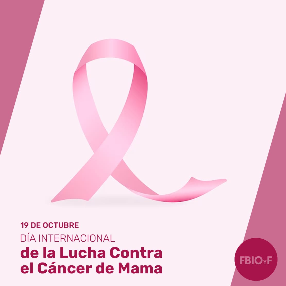 fbioyfunr's tweet photo. UNiDOS X EL ROSA: Día Mundial de la Lucha contra el Cáncer de Mama 💖🎗️
Nos unimos en rosa para apoyar a todas las valientes mujeres que enfrentan esta batalla. El cáncer de mama no solo afecta a quienes lo padecen, sino que también impacta a sus seres queridos.
#FBIOyF https://t.co/n2XpM2HtIZ