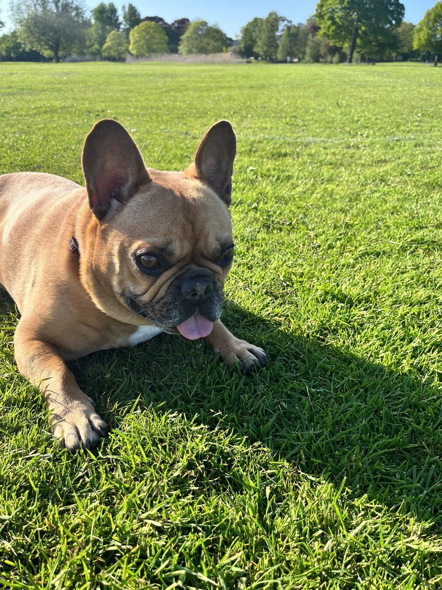 morven73's tweet photo. @JaneyGodley Troy sends his love and hopes you’re feeling better x https://t.co/gUEufIEEvY