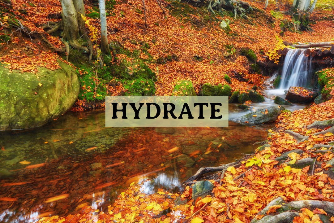 "Water is the most neglected nutrient in your diet, but one of the most vital." – Julia Child. #hydrate #hydration #intentionalselfcare #caregiversupport #mindfulcaregiving #breathingspacesforcaregivers #drinkwater
