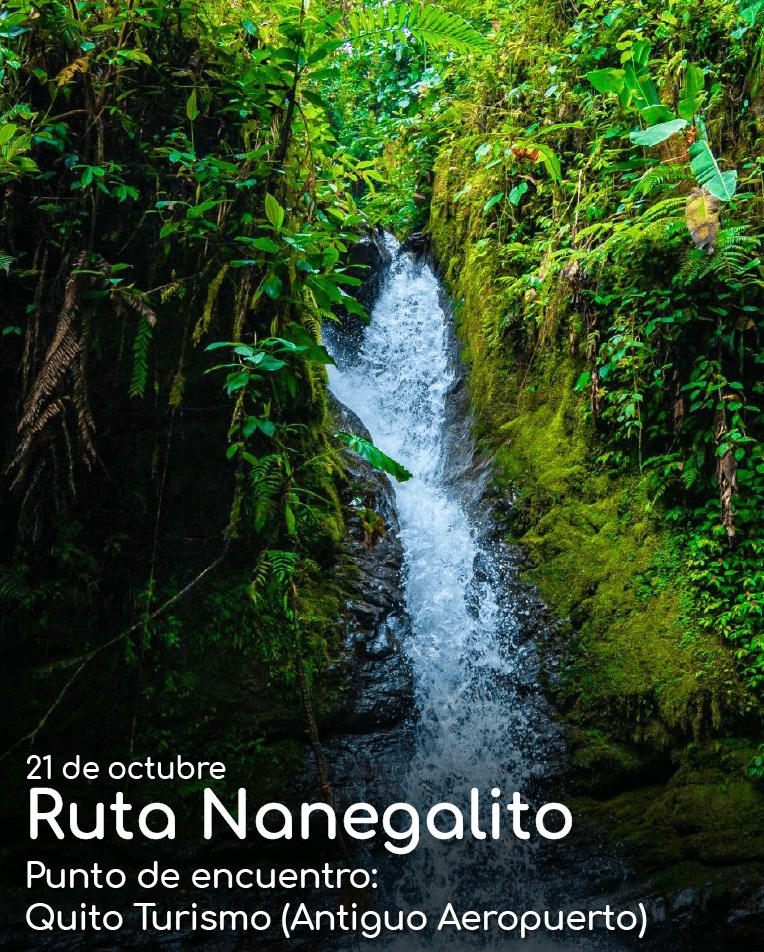 Visit Quito tweet media