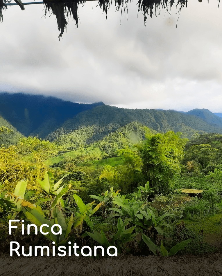 Visit Quito tweet media