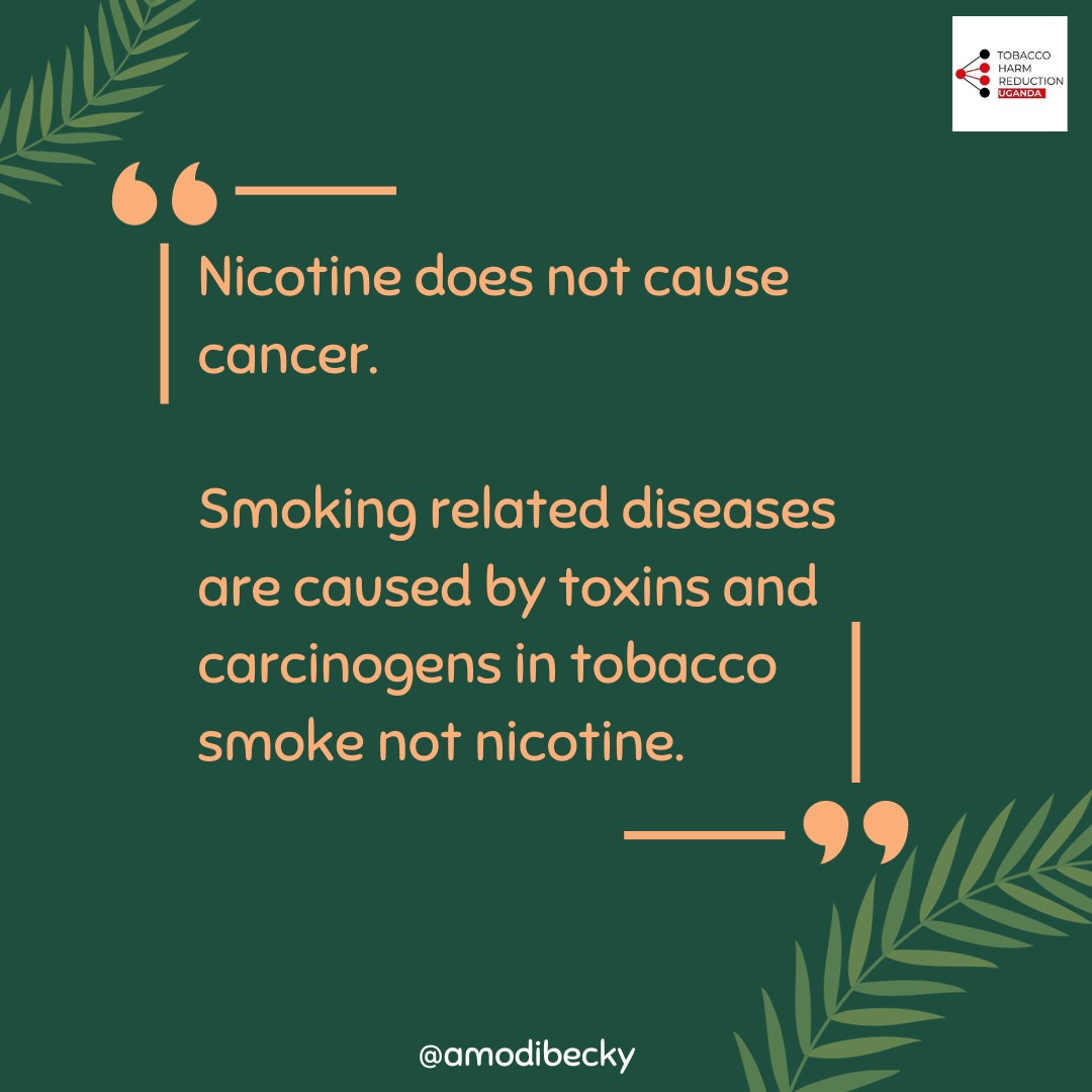 amodibecky's tweet image. Smoking-related illnesses caused by carcinogens and toxins (TAR) in nicotine consumption, such as combating, can be reduced through safe non-smoking alternatives like nicotine pouches, e-cigarettes, snus, and vapes.
#THR4Uganda #THRWorks #SNPWorks #SAFEISSAFE