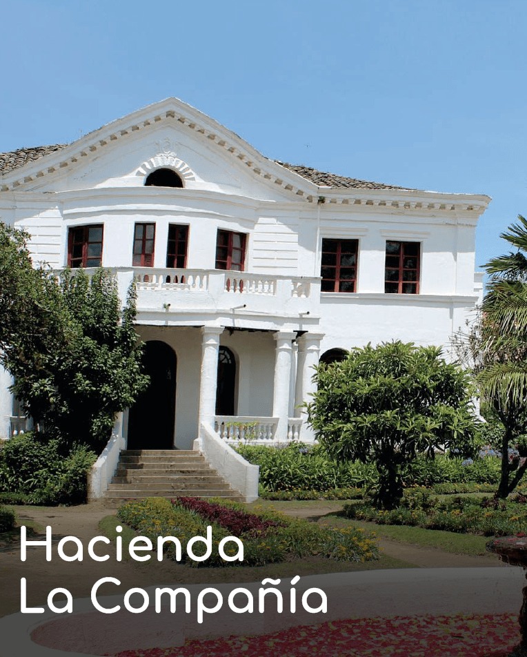 Visit Quito tweet media