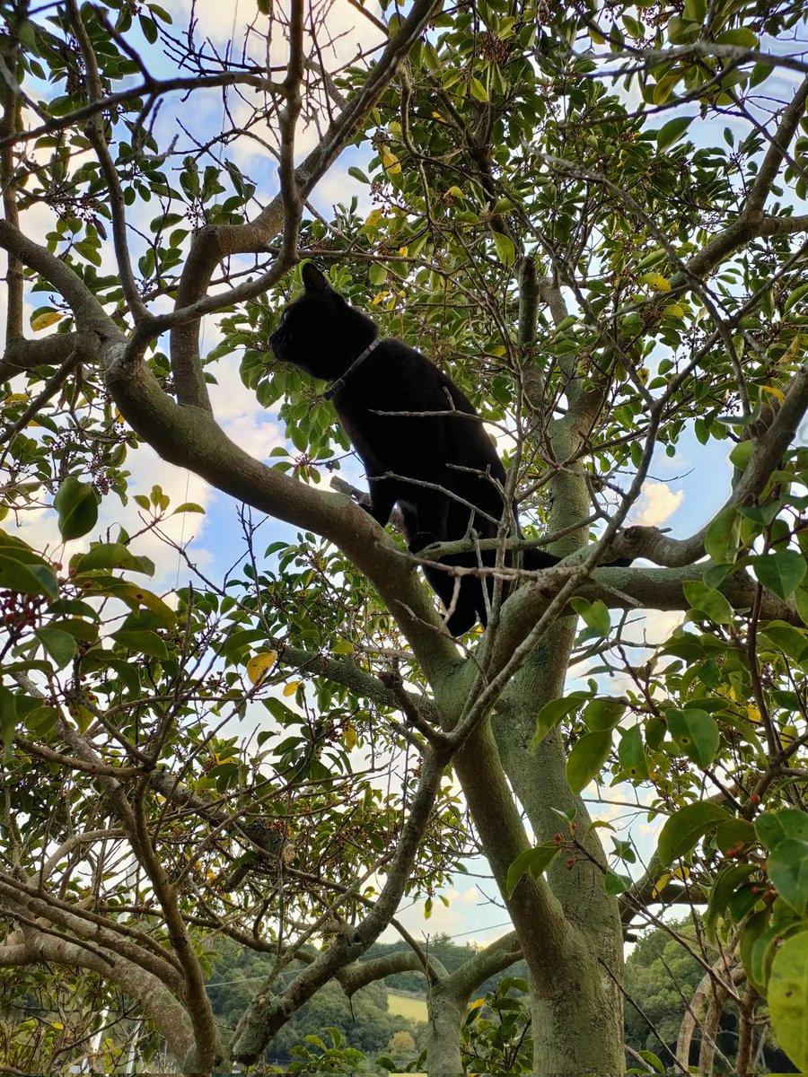 おはようございます☀
秋晴れが続きますね〜✨
今日も素敵な一日になりますように🌈