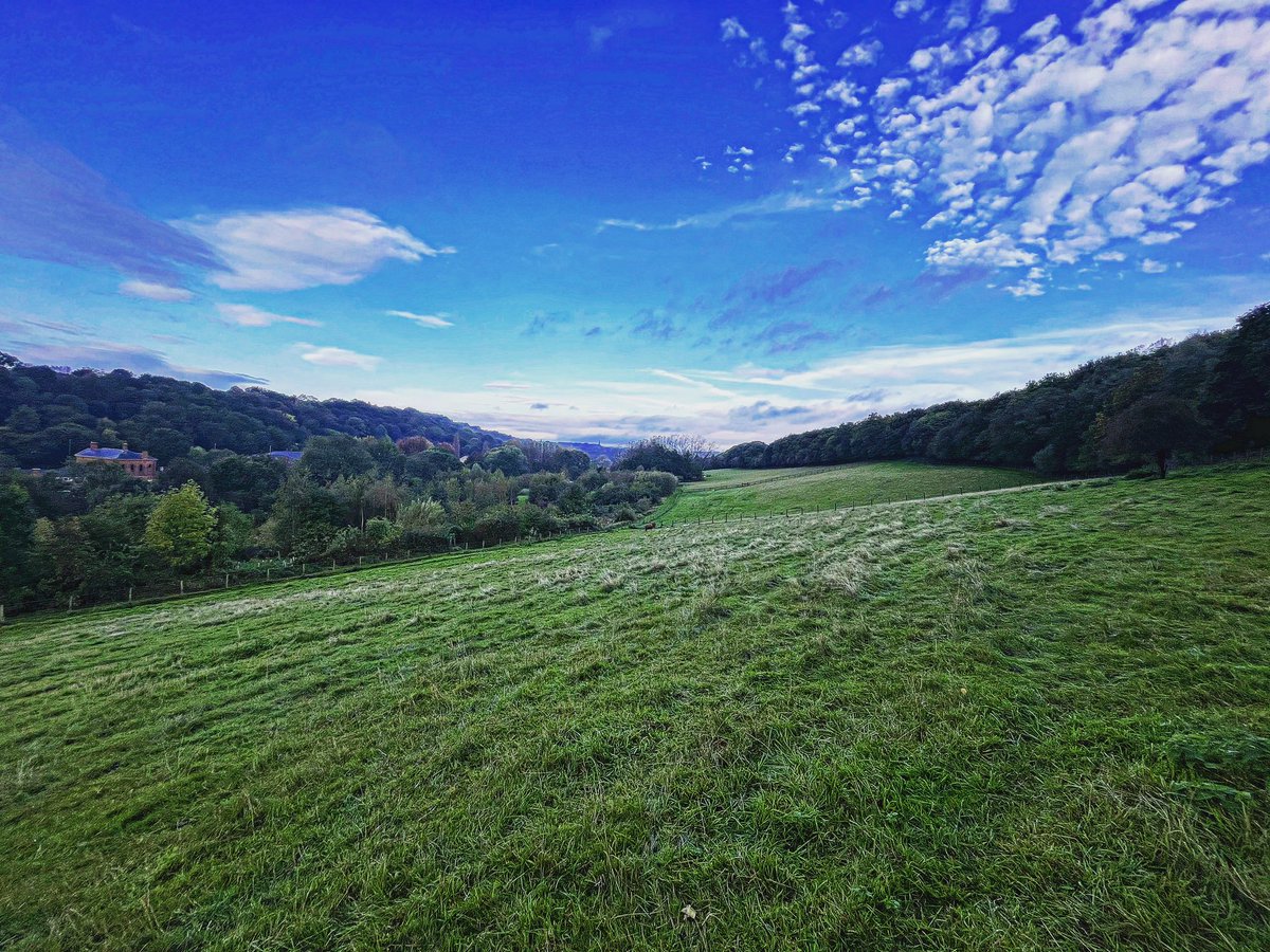 AdamPOgilvie's tweet image. @MeanwoodFarm #UrbanFarming #leeds