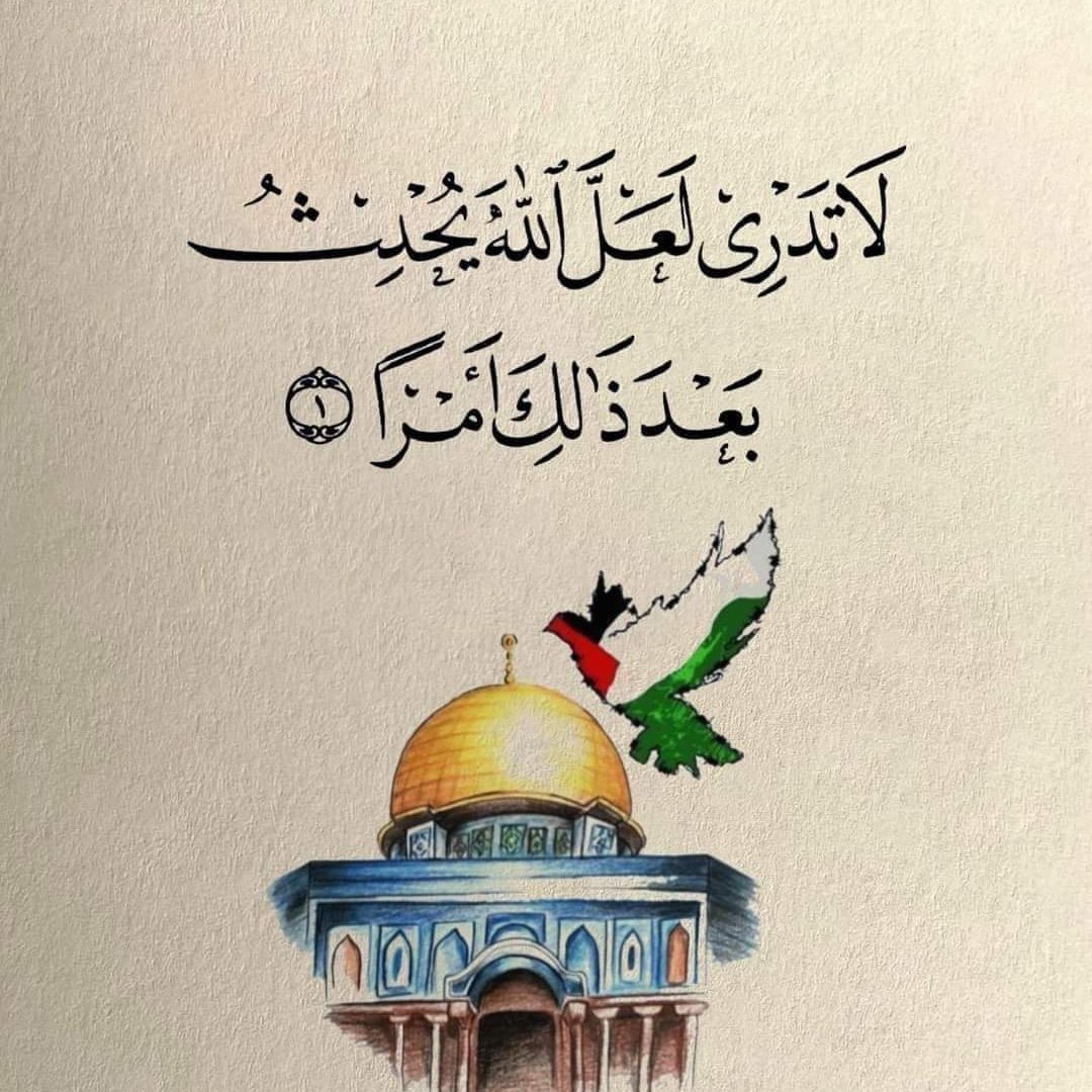 PTragab's tweet photo. #NewProfilePic https://t.co/SaqHq7X10n