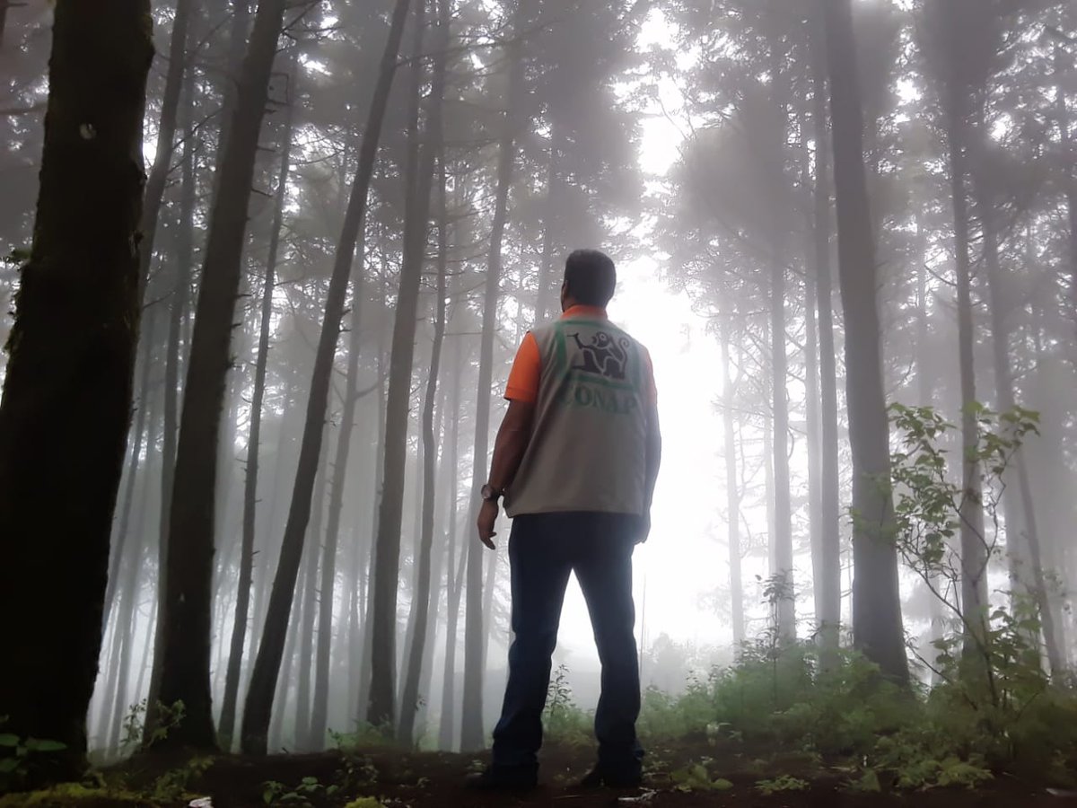 #Guardarrecursos del CONAP son los ¡Guardianes de la vida!, ellos velan por la conservación y resguardo de los ecosistemas que permiten un soplo de vida sana para la humanidad así como la conservación de las distintas áreas a cargo de las oficinas regionales del CONAP.