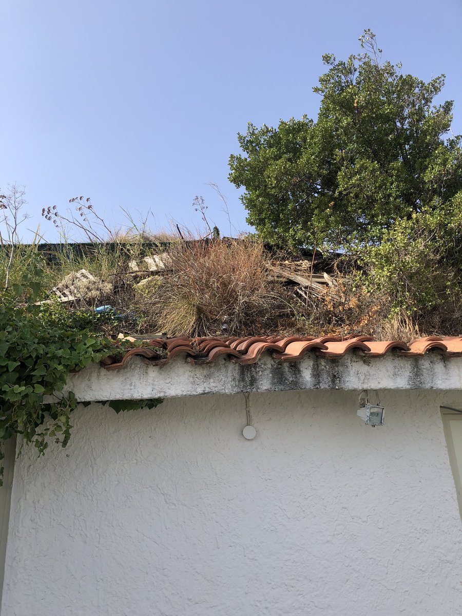 NanaTorTor's tweet photo. @loveholidays Not this one! #Sicilly #Taormina #Villabianca #ripoff #dangerous #130 steps to room? https://t.co/siHdX2zN2D