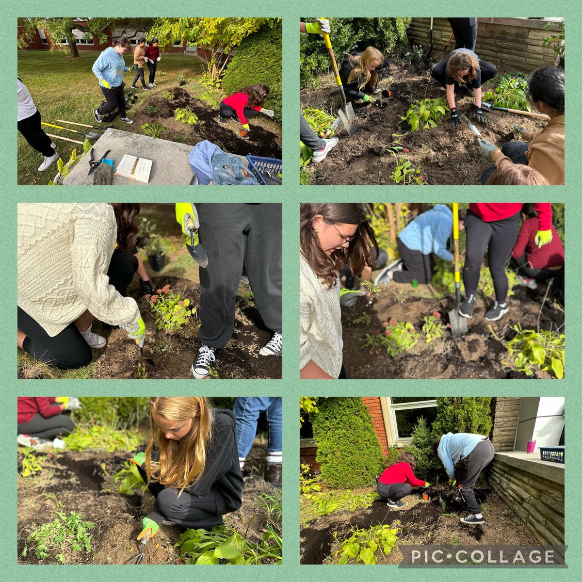 Our Viscount garden club busy working on creating a new pollinator garden! Ready for spring 2024! <a href="/HWDSB/">HWDSB</a>