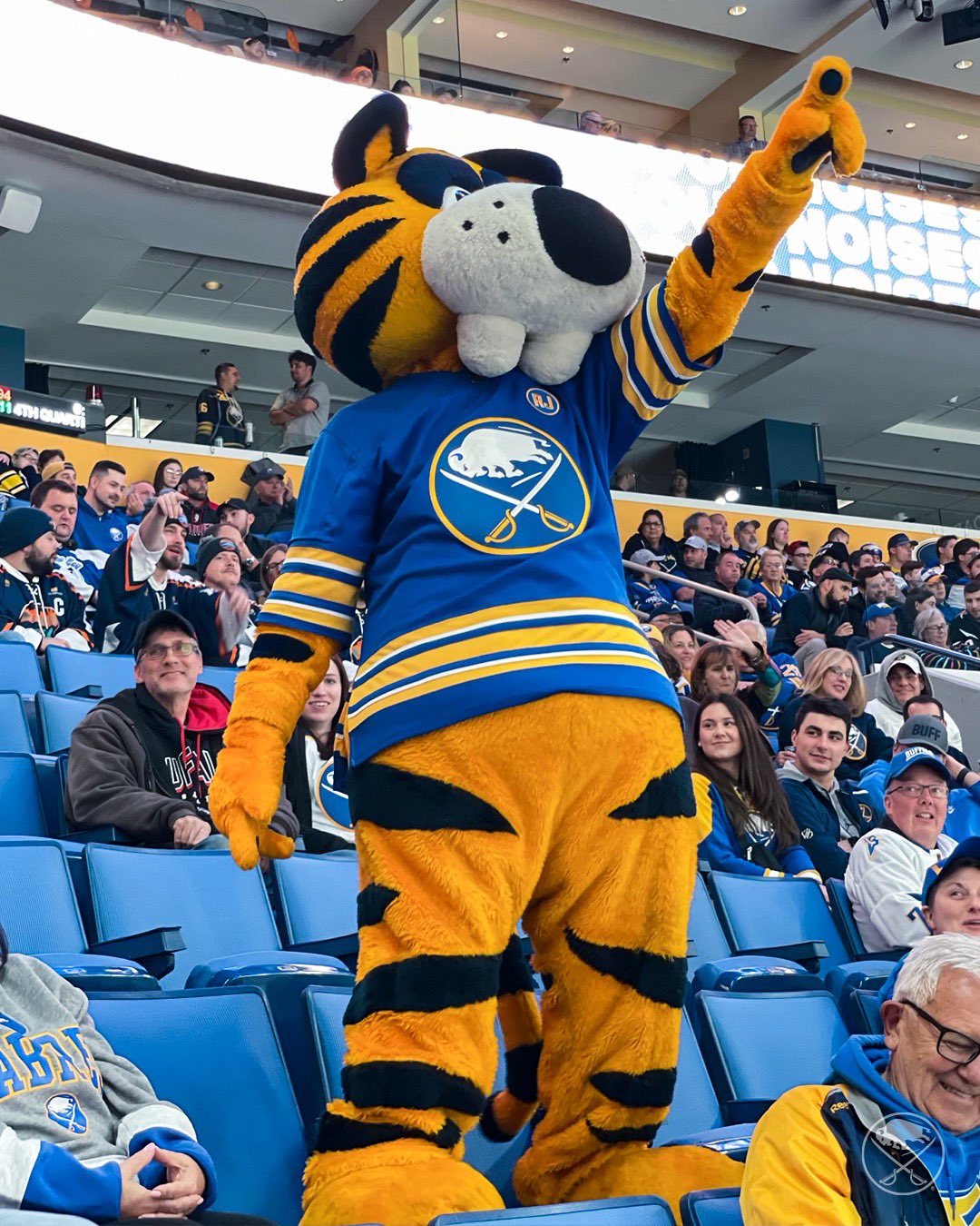 Sabretooth on X: Ready for some Saturday afternoon hockey! 😸  #LetsGoBuffalo  / X