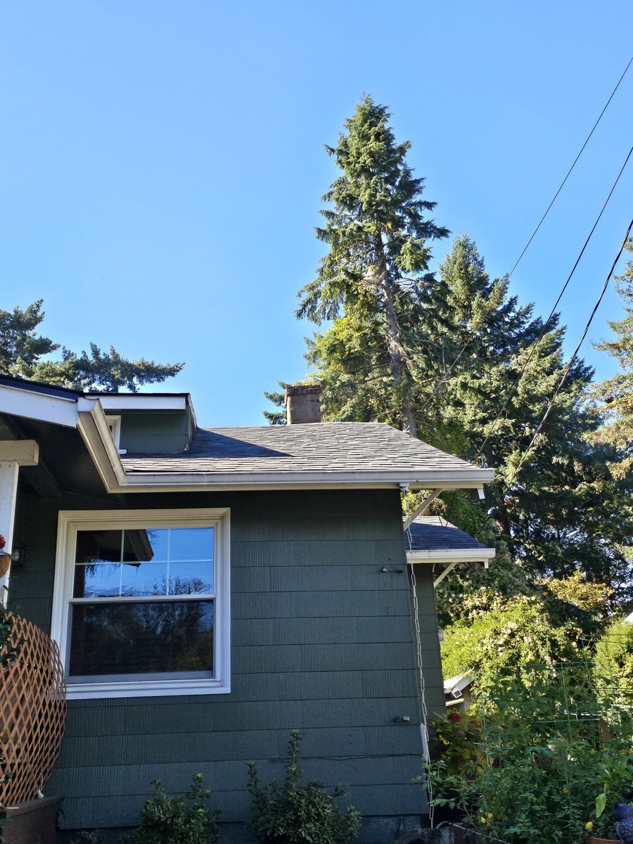 NwRoofTechInc's tweet photo. Another roof we have finished. #good #roof #roofingcompanies #sunny #bluesky #forestgreen https://t.co/1At4t99LqU