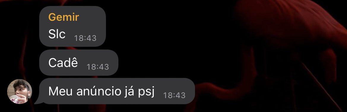 Bem vindo Gemir
💥🥳